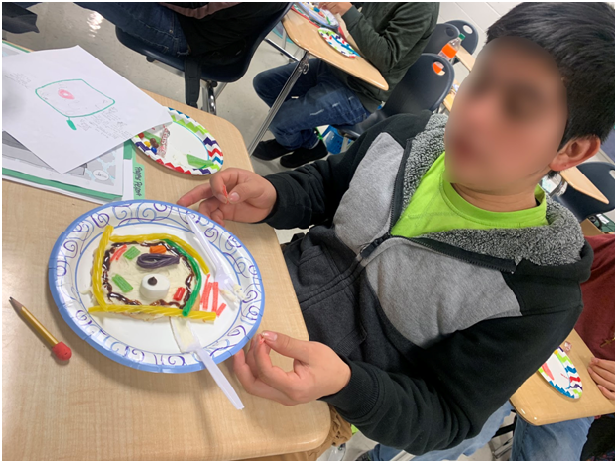 English learners benefit from pairing content vocabulary with hands-on models. This student has modeled a plant cell with candy.